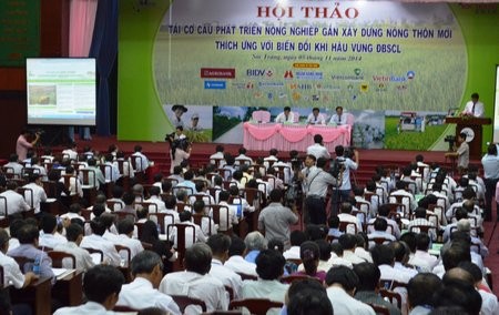  Tái cấu trúc nông nghiệp ĐBSCL, hướng đi bền vững - ảnh 1